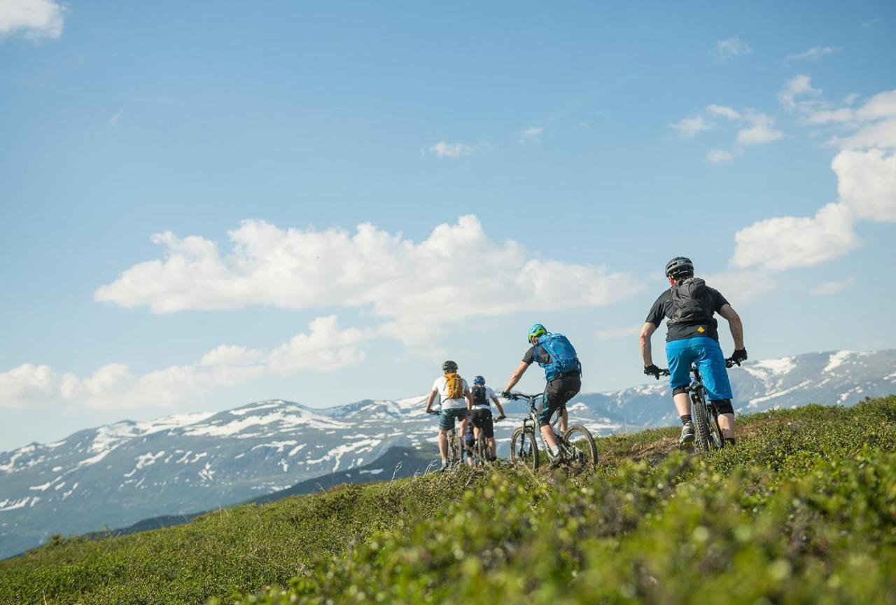 Sommerhotellet Vang I Valdres エクステリア 写真